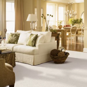 Light colored carpet in a neutral living room | Coleman's Flooring & Blinds