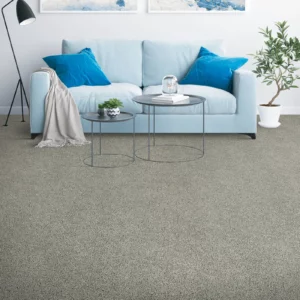 Neutral carpet in a living room | Coleman's Flooring & Blinds