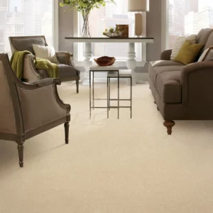 Neutral carpet in a living room | Coleman's Flooring & Blinds