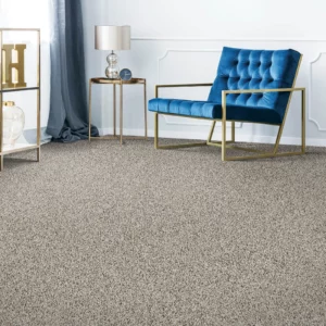 Neutral carpet in a living room | Coleman's Flooring & Blinds