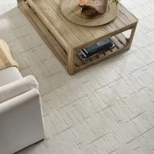 Overhead view of neutral, patterned carpet in a living room | Coleman's Flooring & Blinds