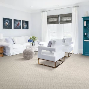 Neutral, textured carpet in a living room | Coleman's Flooring & Blinds