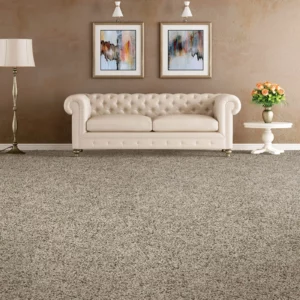 Neutral carpet in a living room | Coleman's Flooring & Blinds