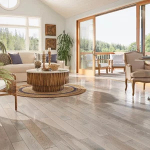 Hardwood flooring in a living room | Coleman's Flooring & Blinds