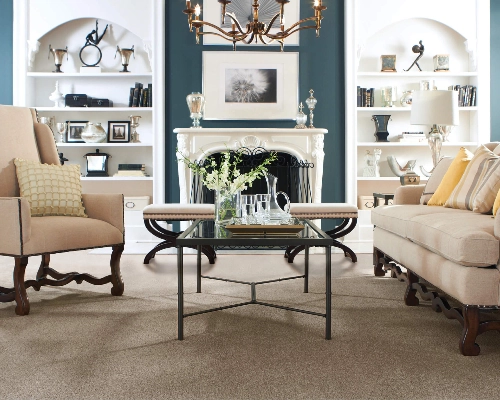 carpet in a modern living room | Coleman's Flooring & Blinds