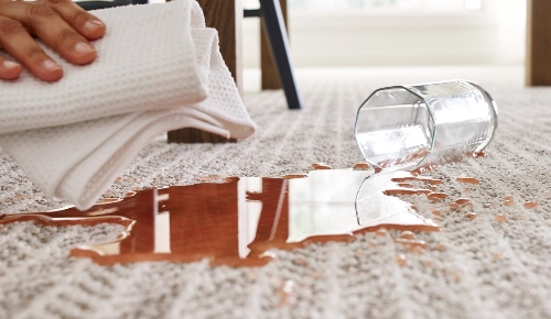 Hand with cloth ready to wipe up liquid spilled on carpet | Coleman's Flooring & Blinds