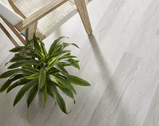 Luxury vinyl plank flooring with chair and plant | Coleman's Flooring & Blinds