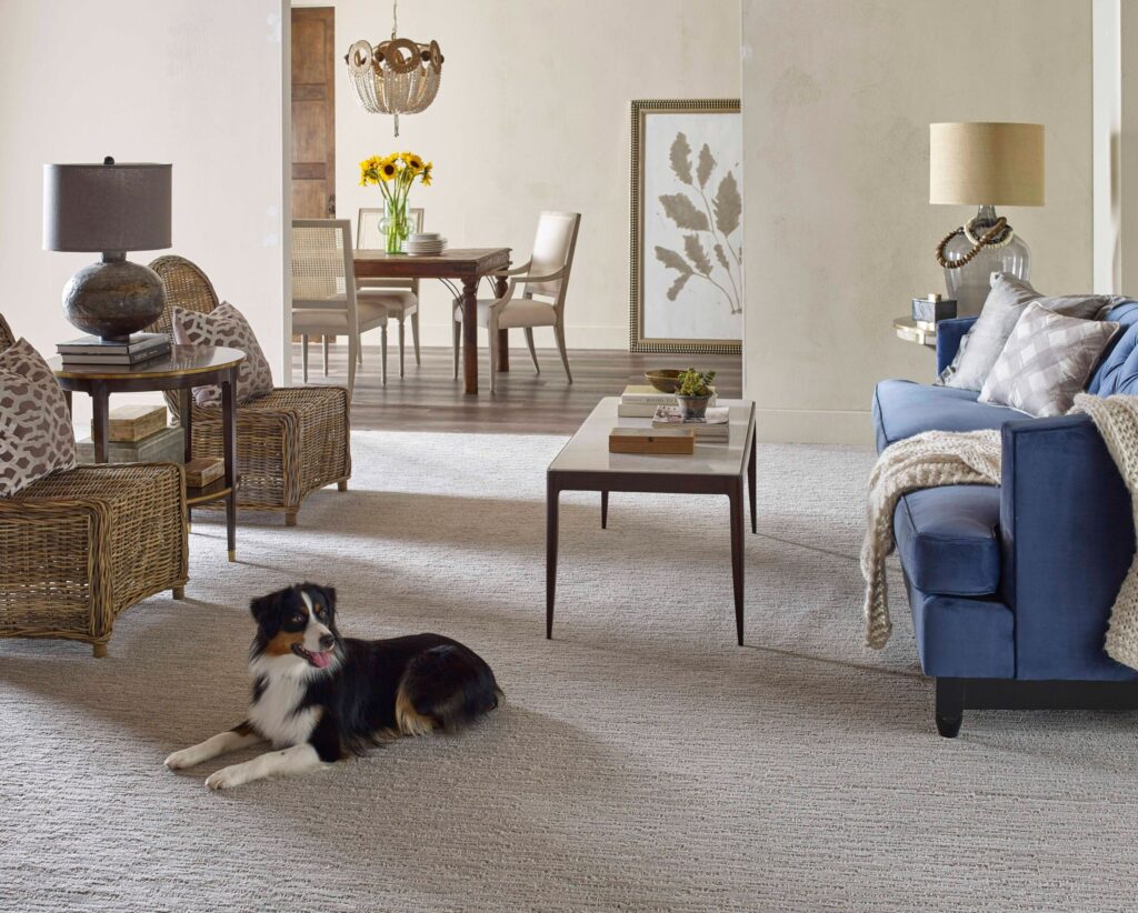 Carpet - Flooring Page3